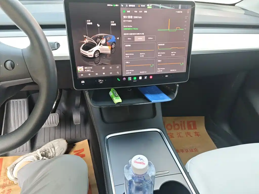 Tesla Model Y — миниатюра 15