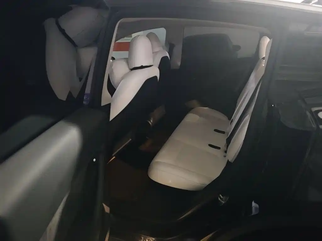Tesla Model Y — миниатюра 19