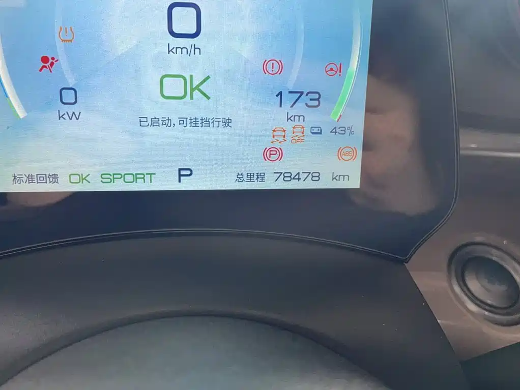 BYD Dolphin 2021 405km Fashion