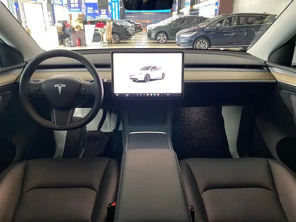 TESLA MODEL Y