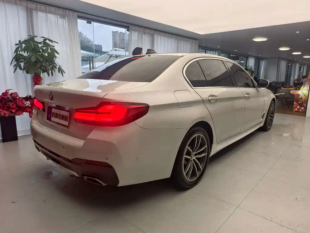 BMW 5 Series — миниатюра 19