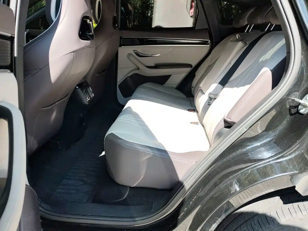 BYD PLUS New Energy — миниатюра 18