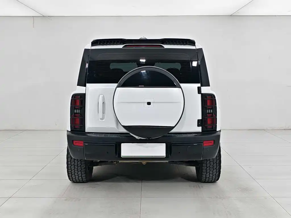Haval Menglong New Energy — миниатюра 5
