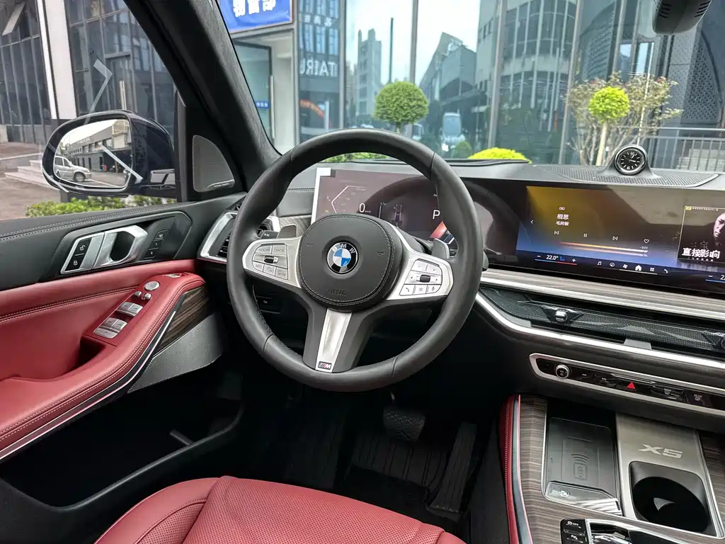 BMW X5 — миниатюра 10
