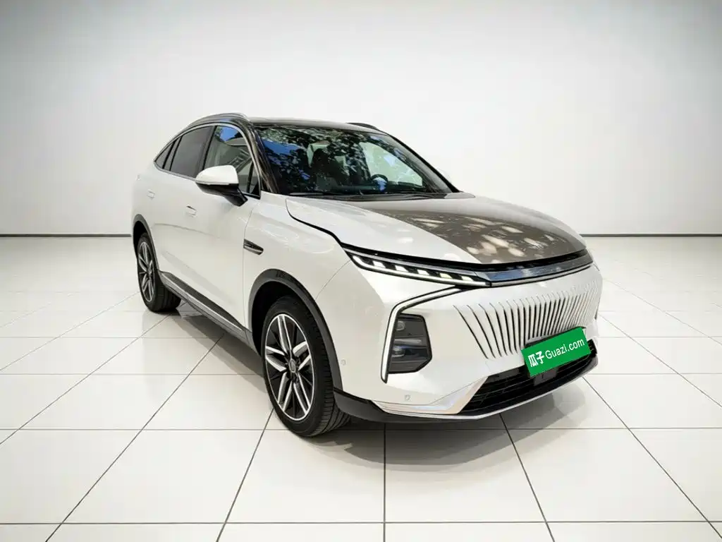 Roewe Whale — миниатюра 24