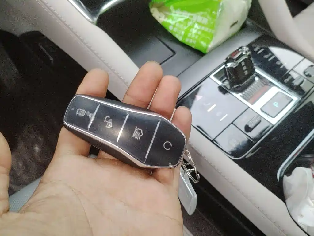 BYD PLUS New Energy — миниатюра 12