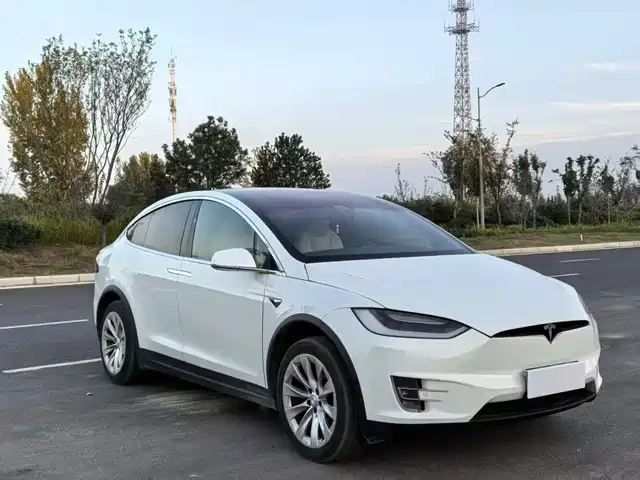 TESLA MODEL X 2020