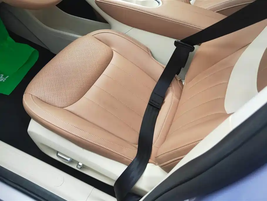 Wuling Binguo 2025 333km Premium