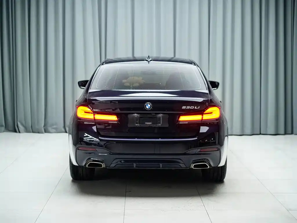 BMW 5 Series — миниатюра 8