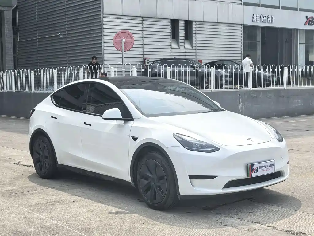 Tesla Model Y — миниатюра 3