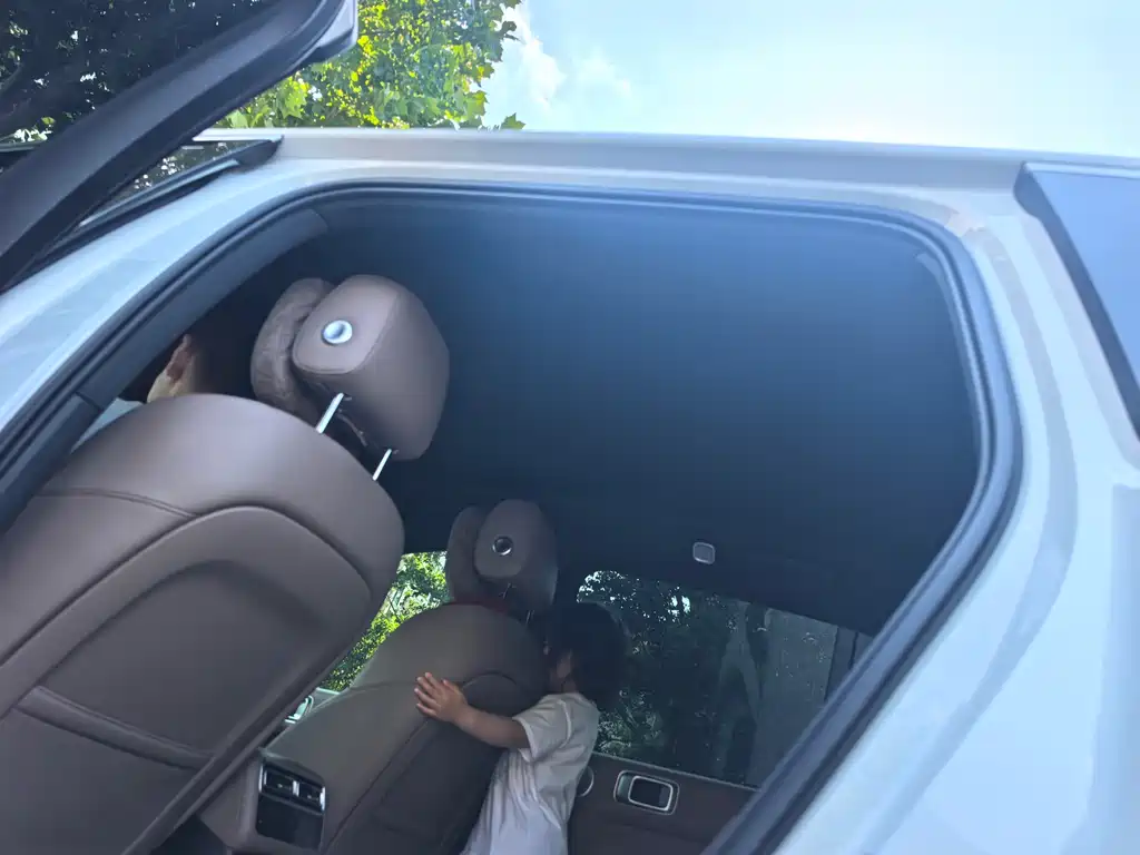 Li Auto L6 2025 Pro