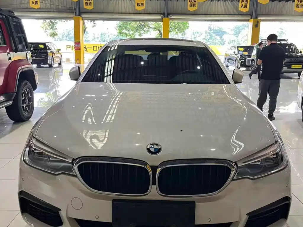 BMW 5 Series — миниатюра 5