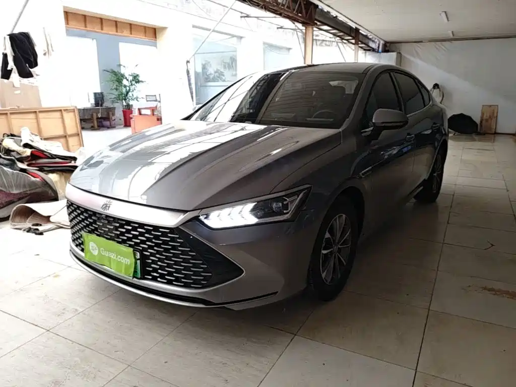 BYD Qin Plus PLUS 2024 DM-i 55KM Lead