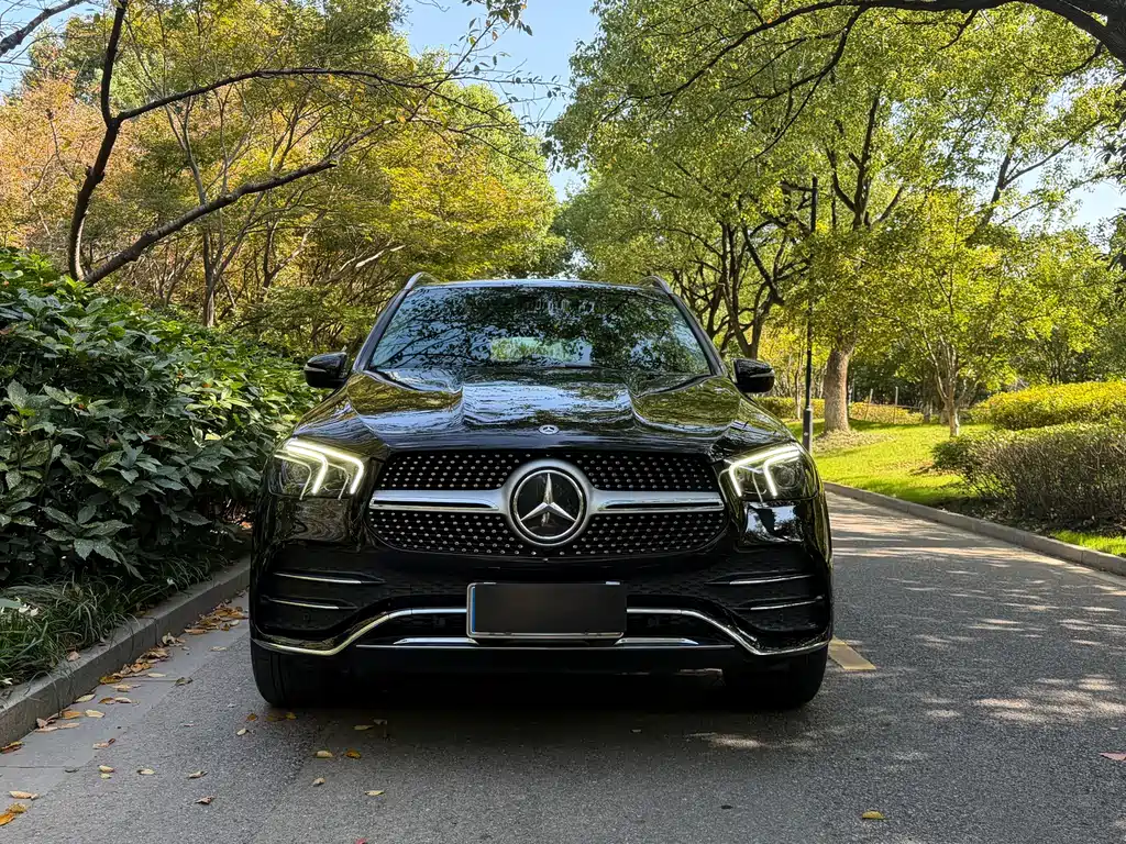 Mercedes-Benz GLE (Import) — миниатюра 2