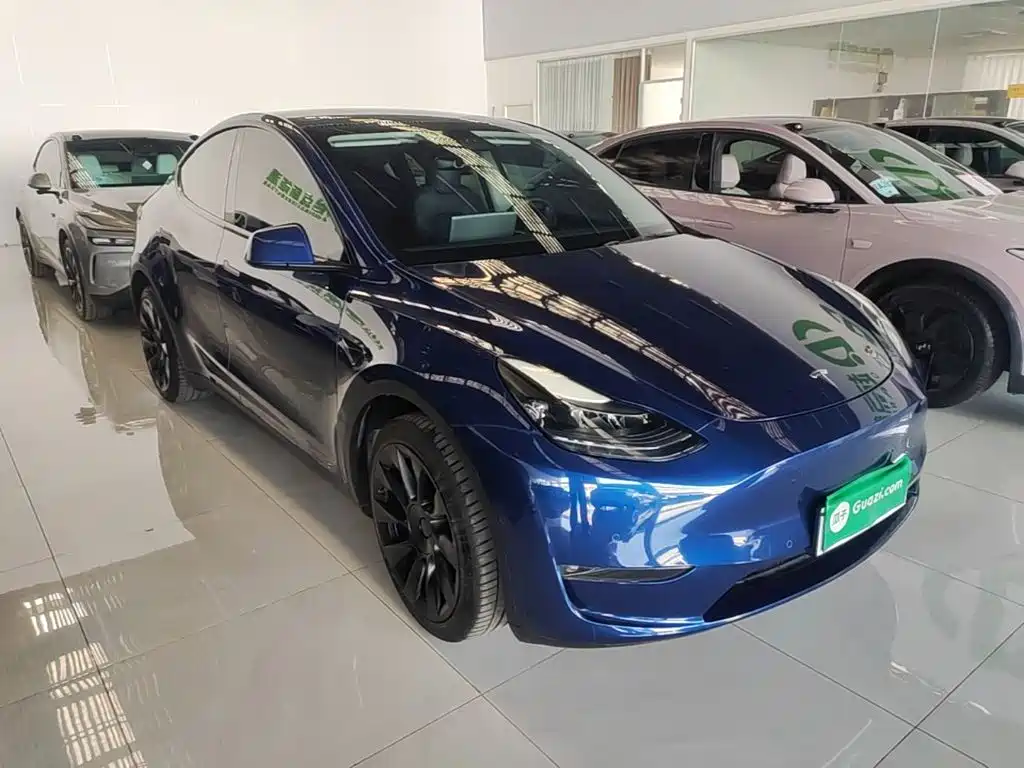 Tesla Model Y — миниатюра 4