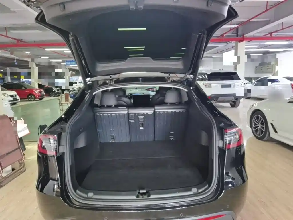 Tesla Model Y — миниатюра 19