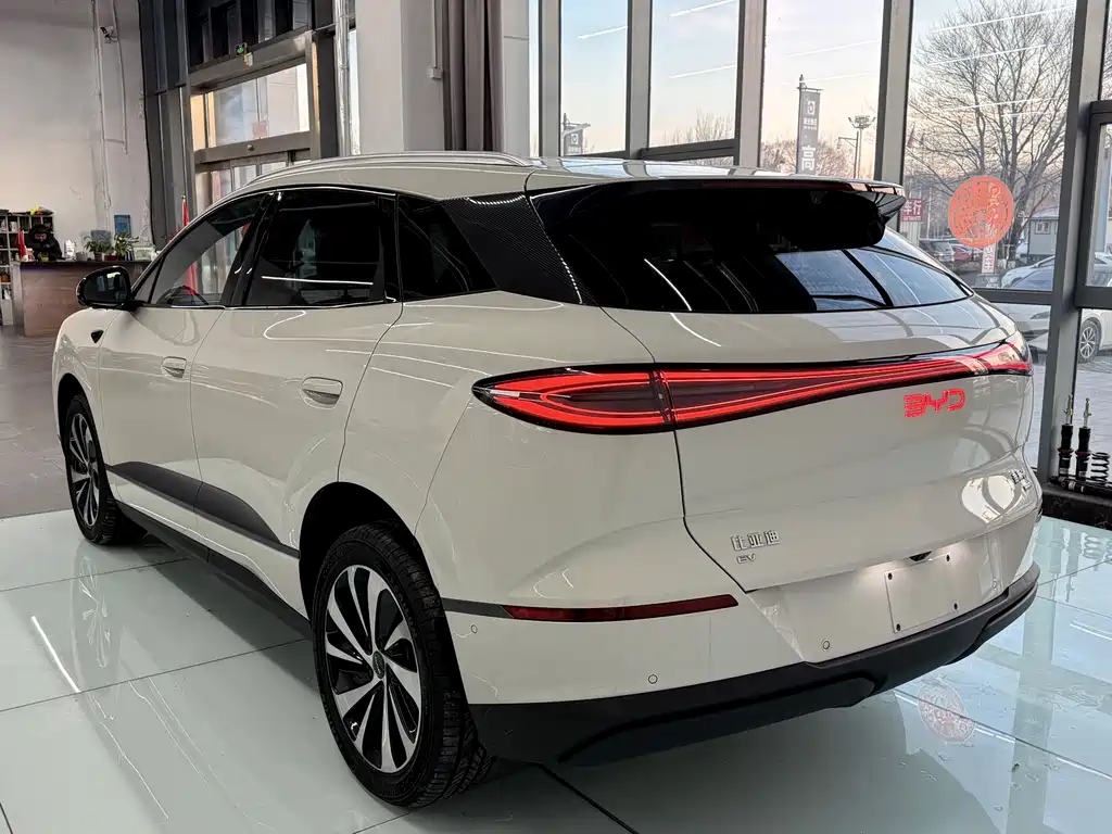 BYD SEA LION 06 NEW ENERGY