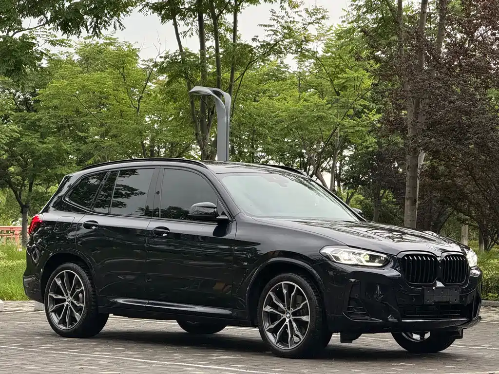 BMW X3 2023 xDrive30i Lead M