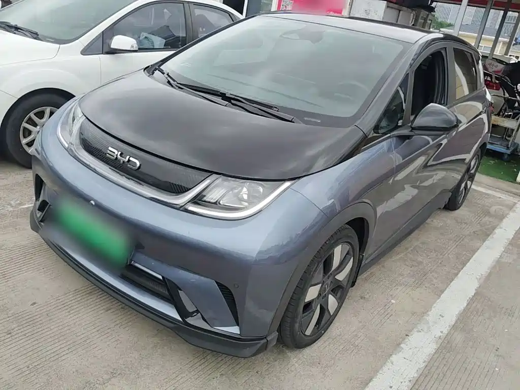 BYD Dolphin