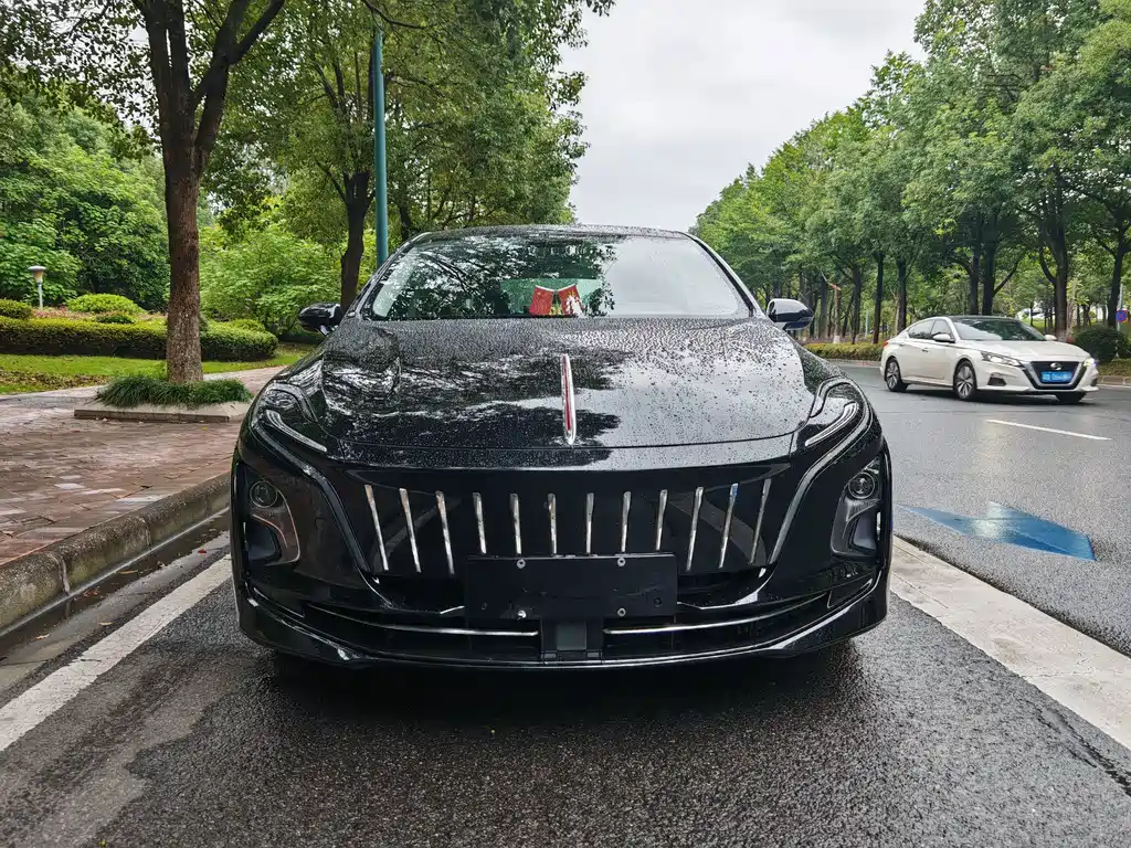 Hongqi Hongqi E-QM5 — миниатюра 2