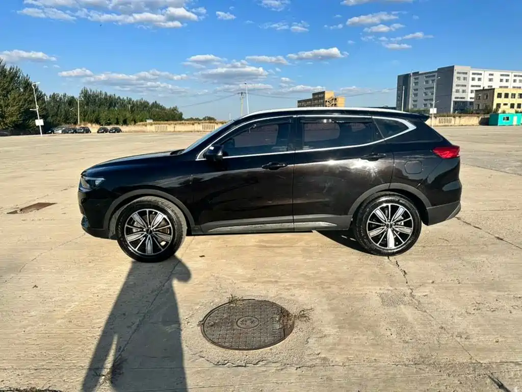 Haval H6 — миниатюра 7