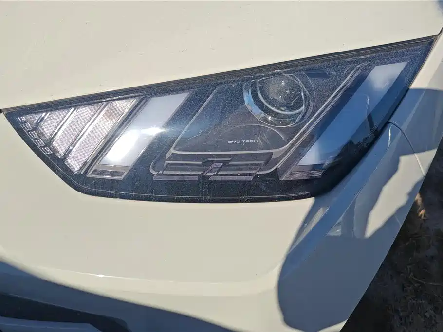 BYD Seagull