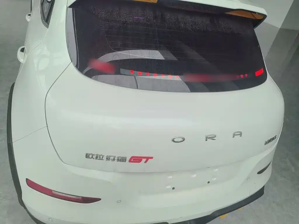 Ora Ora Good Cat GT — миниатюра 6
