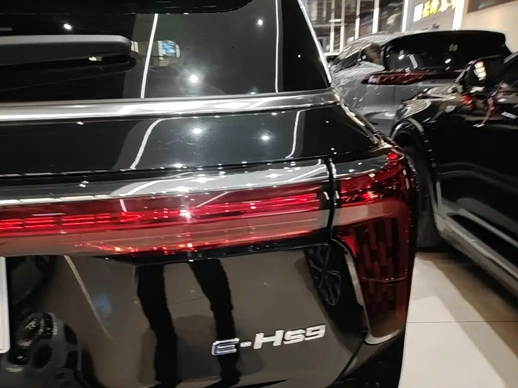 Hongqi Hongqi E-HS9 — миниатюра 8
