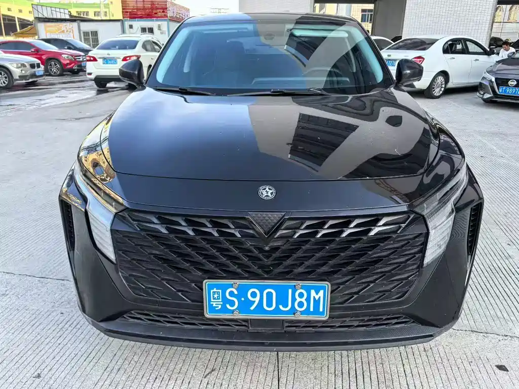 Venucia V 2023 260T Pro