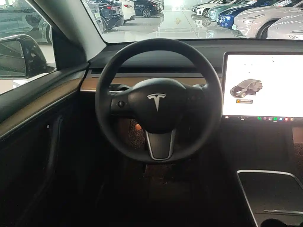Tesla Model Y — миниатюра 11