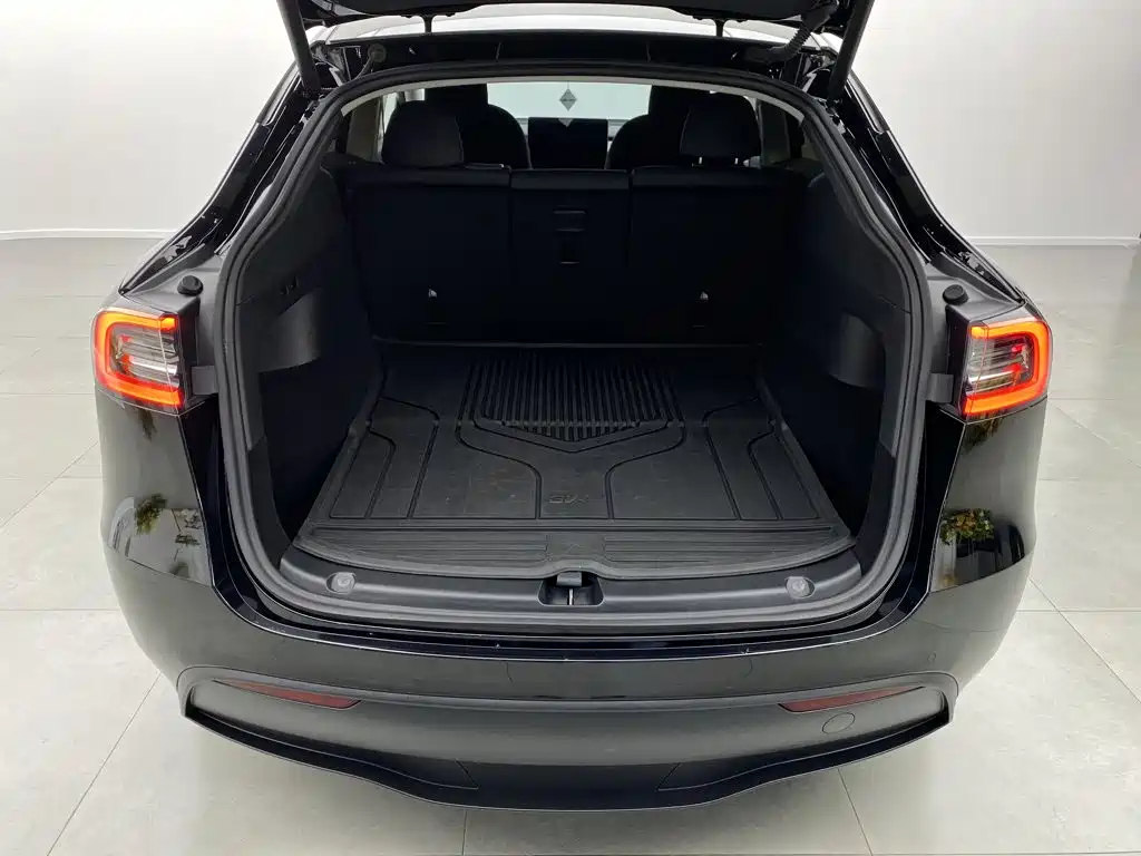 Tesla Model Y — миниатюра 30