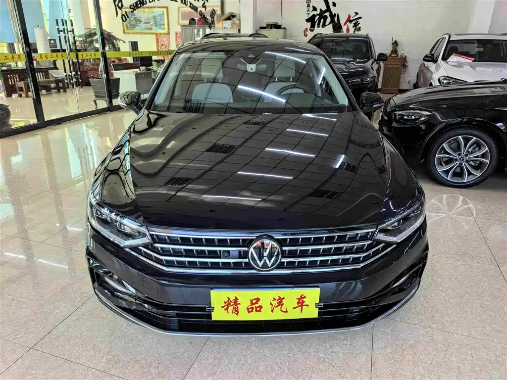 Volkswagen Magotan — миниатюра 2