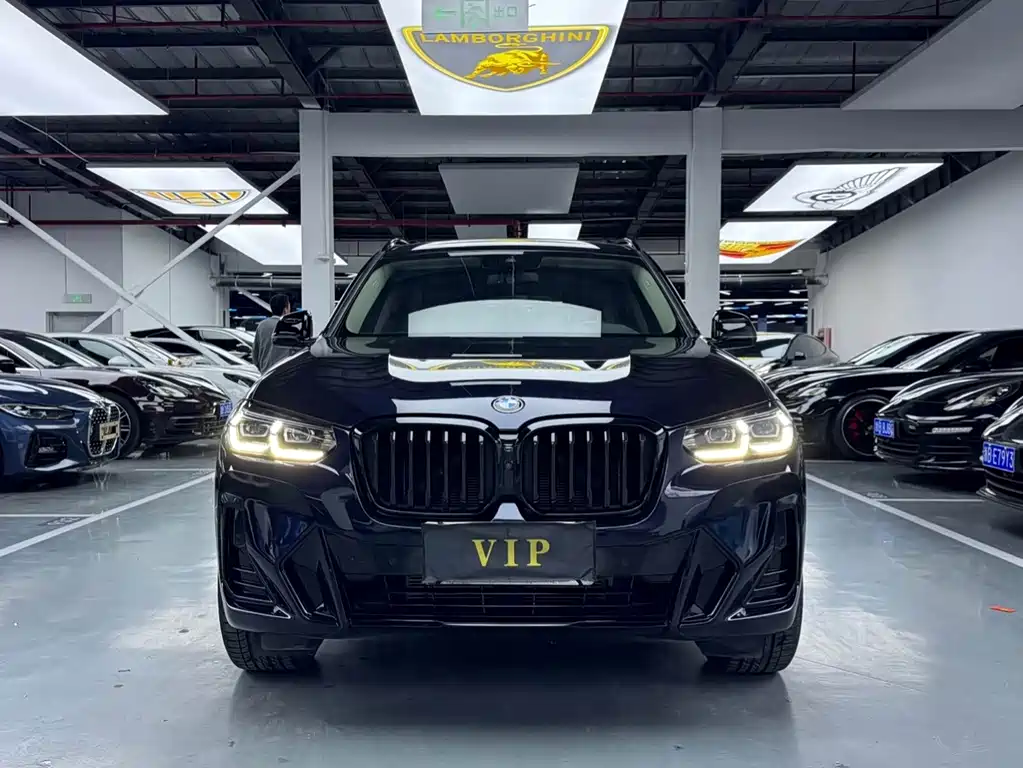 BMW X3 — миниатюра 2