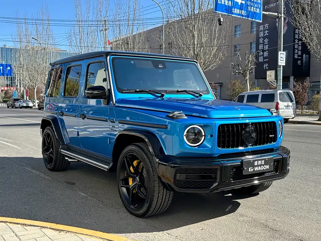Mercedes-Benz G-Class — миниатюра 6