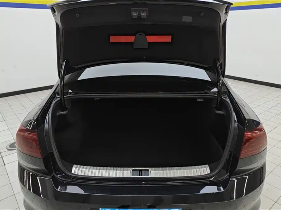 Volkswagen Magotan 2023 200 330TSI DSG Lead