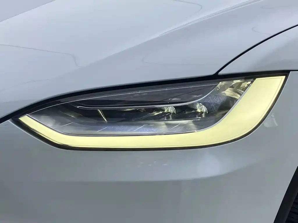 Tesla Model X — миниатюра 6