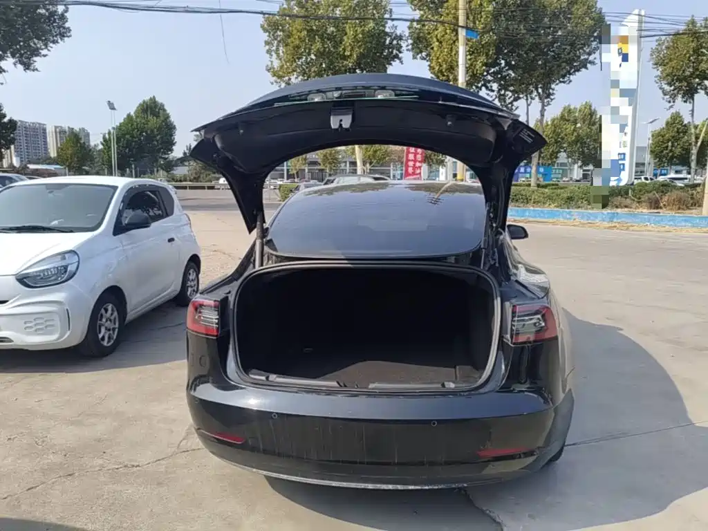 Tesla Model 3 — миниатюра 19