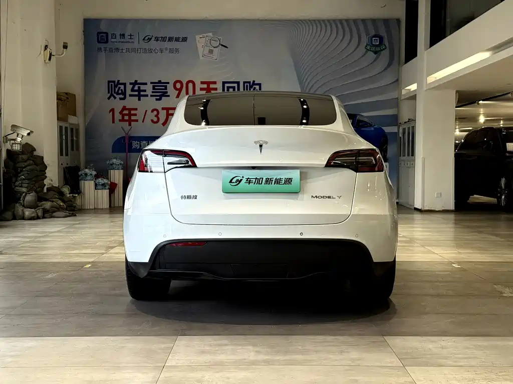 Tesla Model Y — миниатюра 8