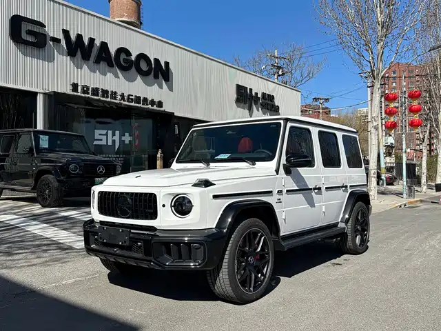 MERCEDES-BENZ G CLASS AMG