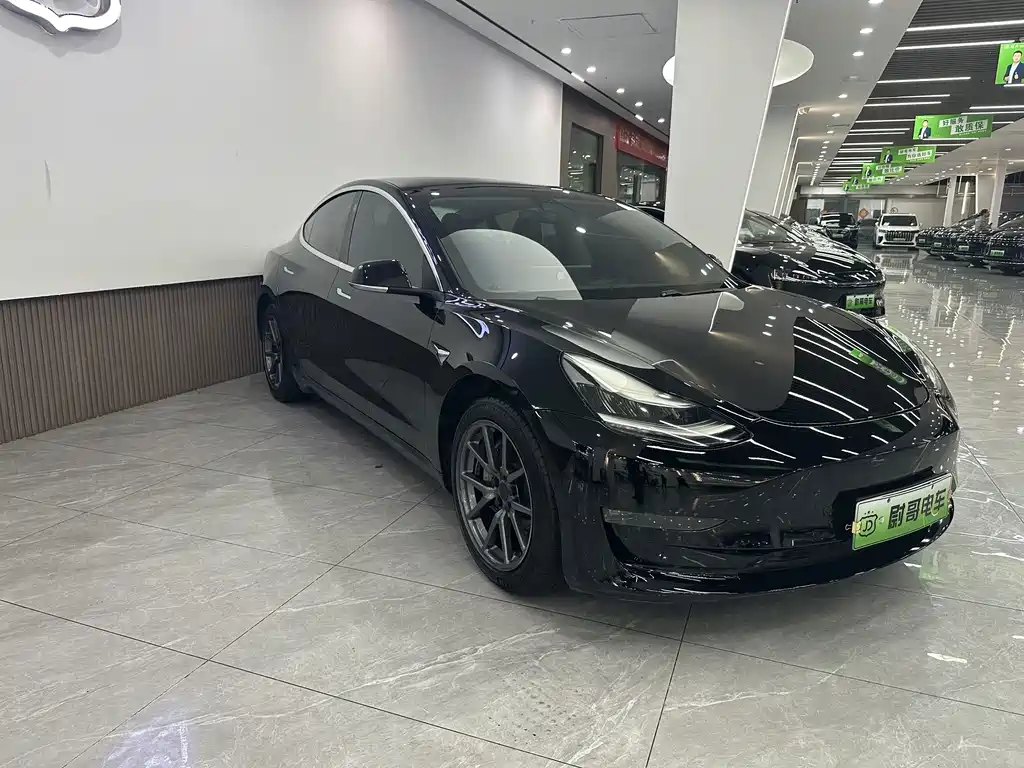 Tesla Model 3 — миниатюра 3