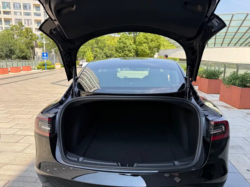 Tesla Model 3 — миниатюра 38