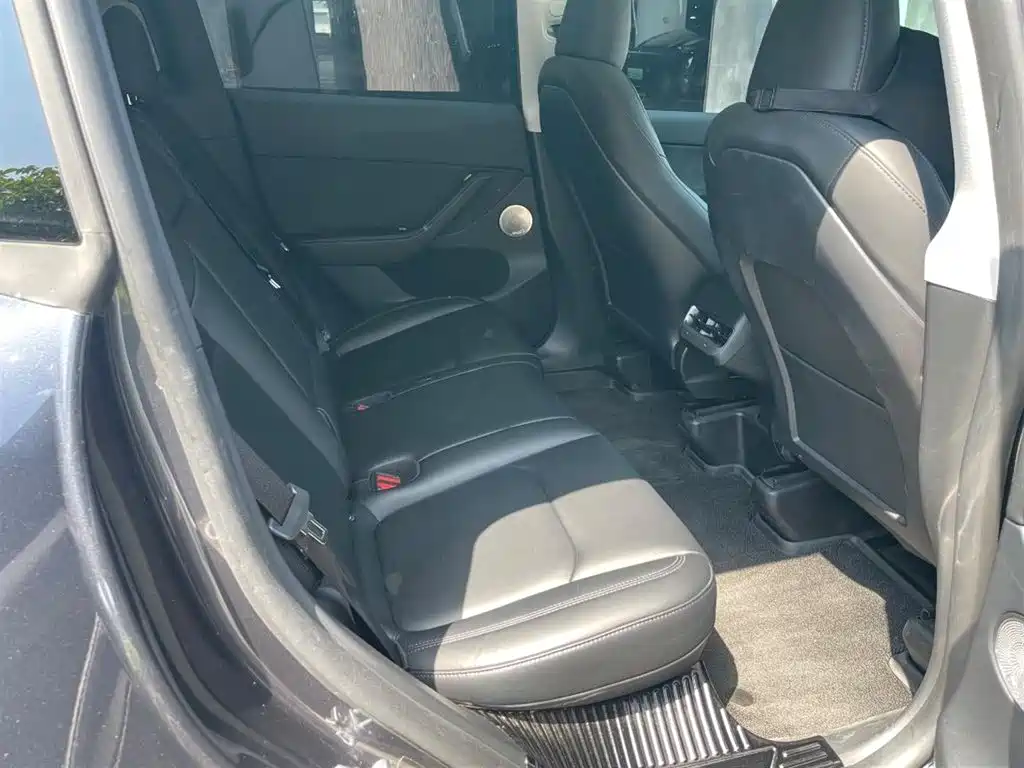 Tesla Model Y — миниатюра 11