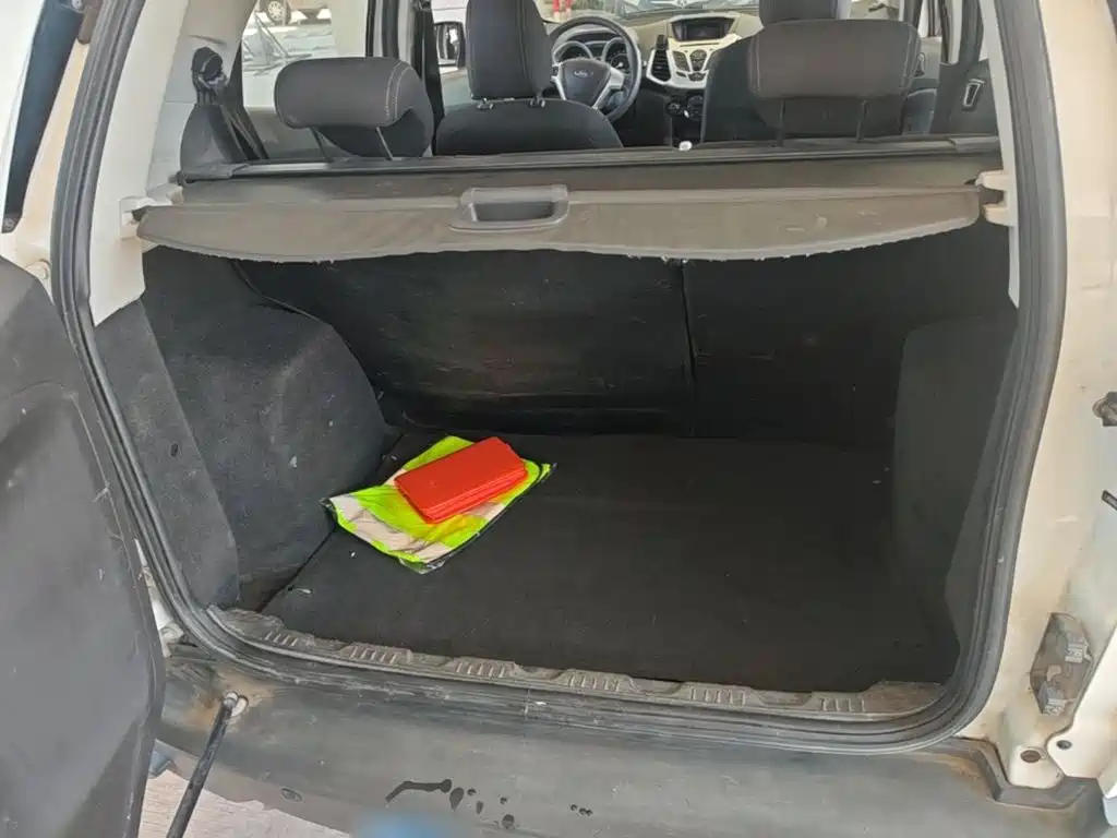 Ford Ecosport — миниатюра 19