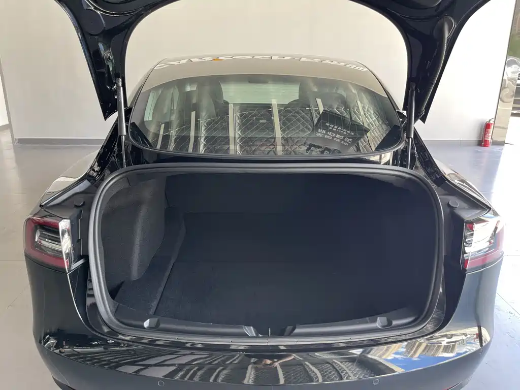Tesla Model 3 — миниатюра 14