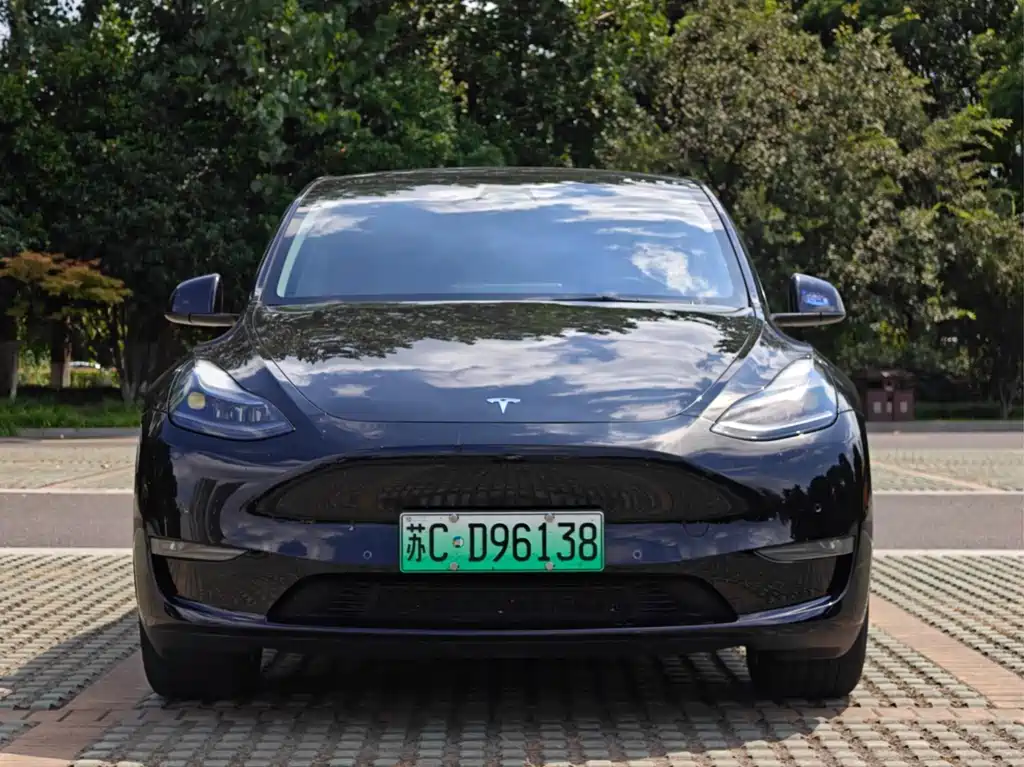 Tesla Model Y — миниатюра 4