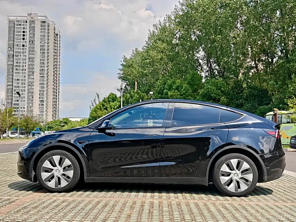 Tesla Model Y — миниатюра 3