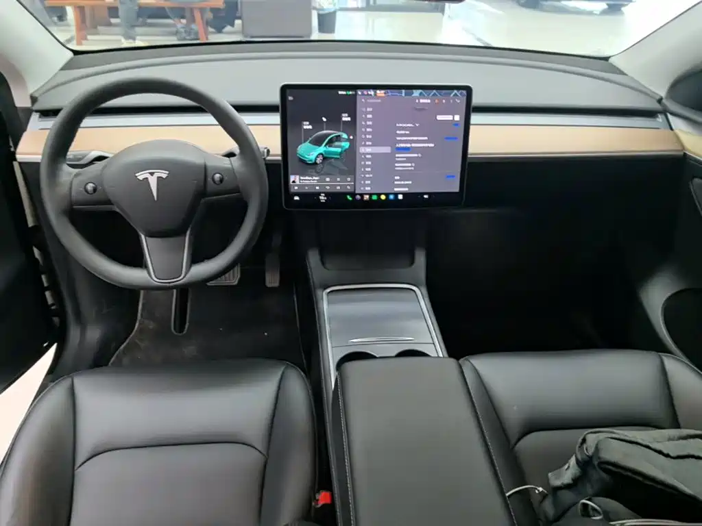 Tesla Model Y — миниатюра 10