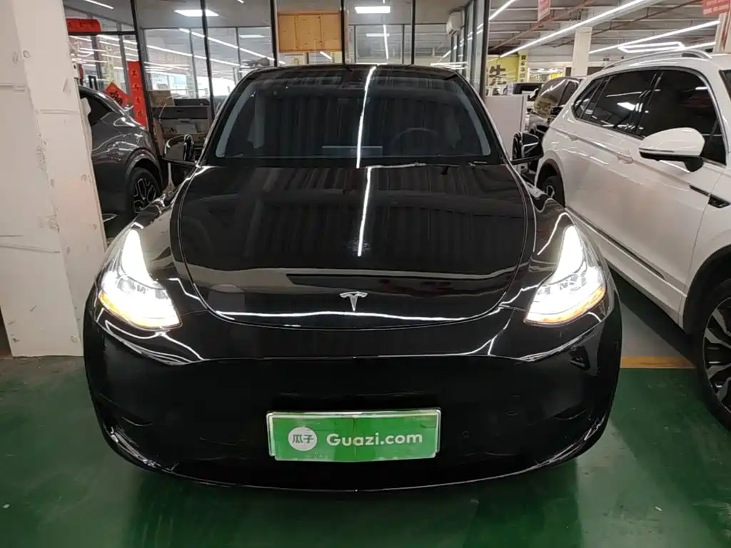 Tesla Model Y — миниатюра 3