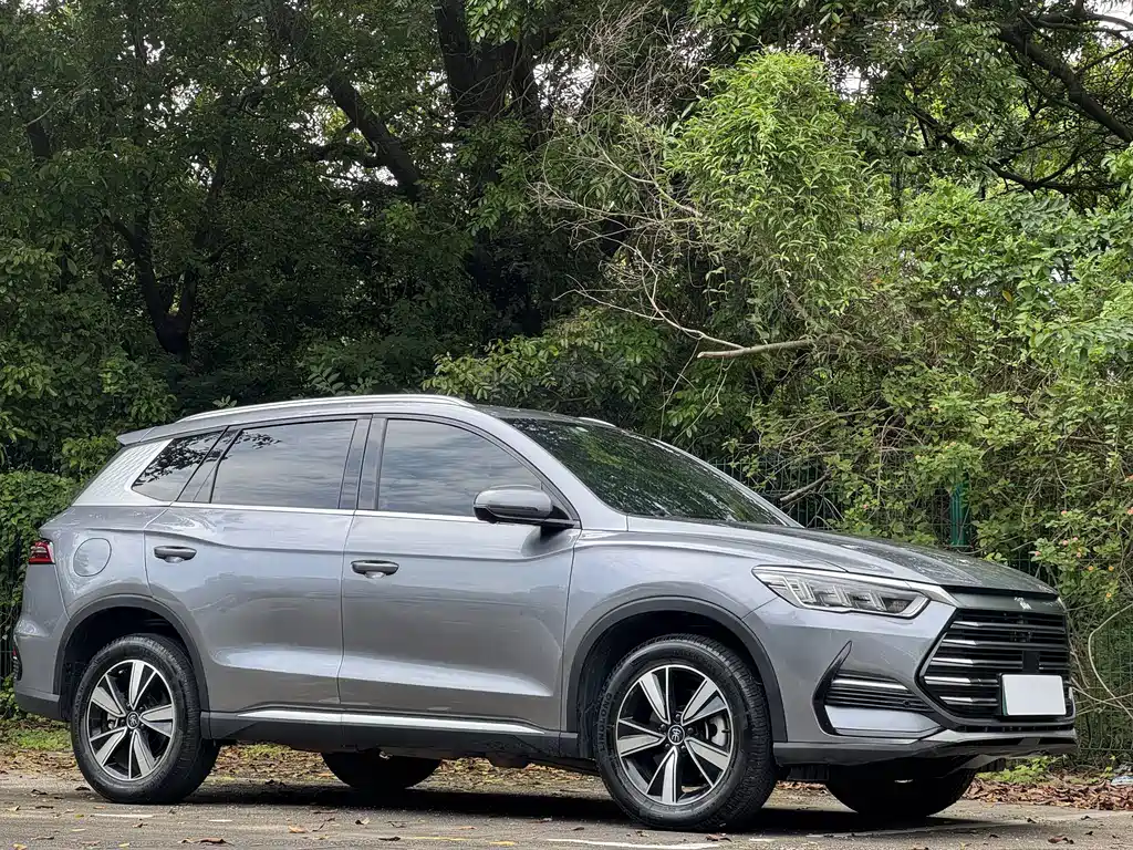 BYD Pro New Energy — миниатюра 2
