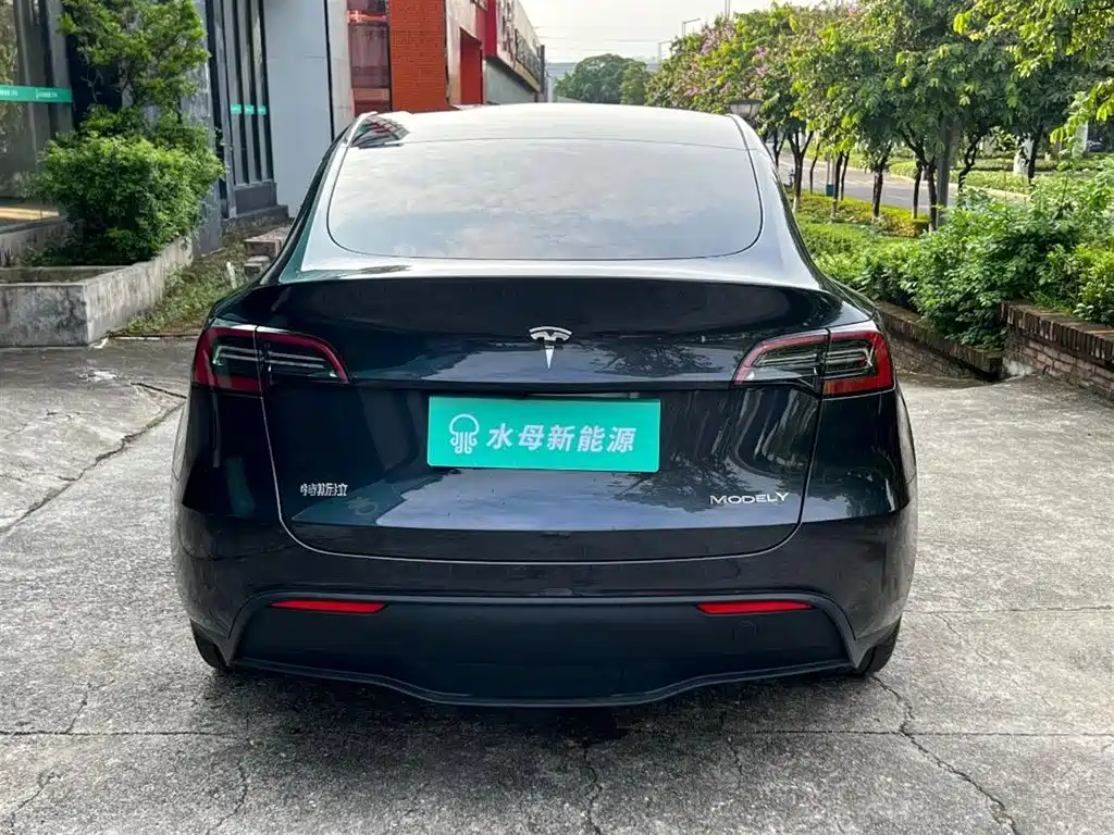 Tesla Model Y — миниатюра 7